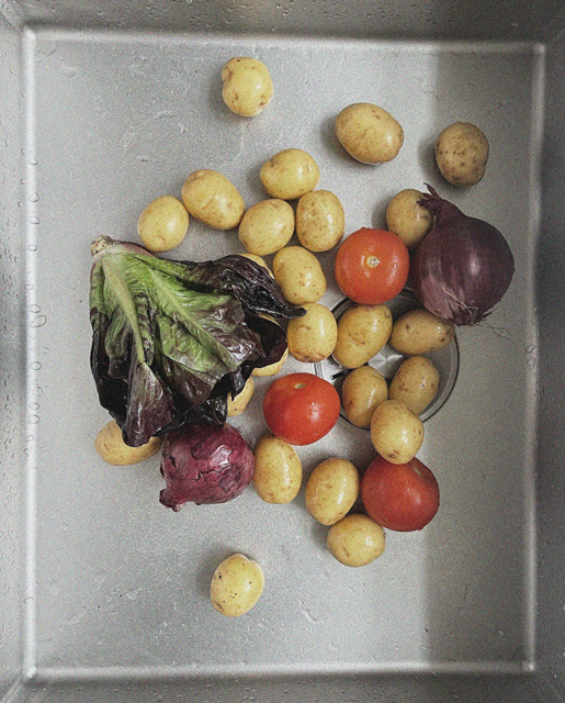 Kartofler, salat, løg og tomater fra Aarstiderne ligger i en håndvask