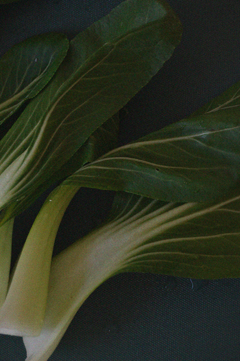 Grøntsager fra Aarstiderne